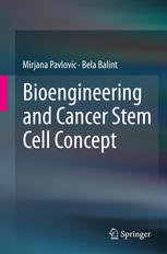 Bioengineering and Cancer Stem Cell Concept 2016