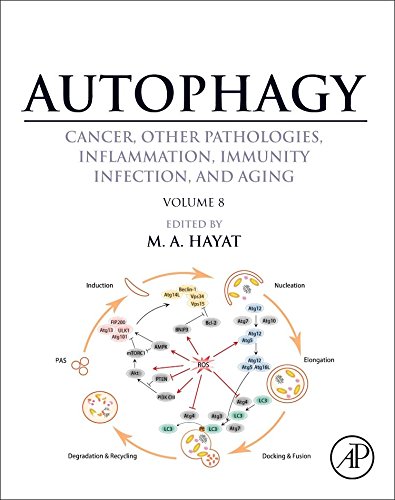 Autophagy: Cancer, Other Pathologies, Inflammation, Immunity, Infection, and Aging: Volume 8- Human Diseases 2016