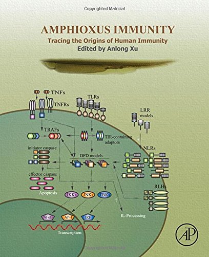 Amphioxus Immunity: Tracing the Origins of Human Immunity 2015