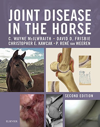 بیماری مفصلی در اسب