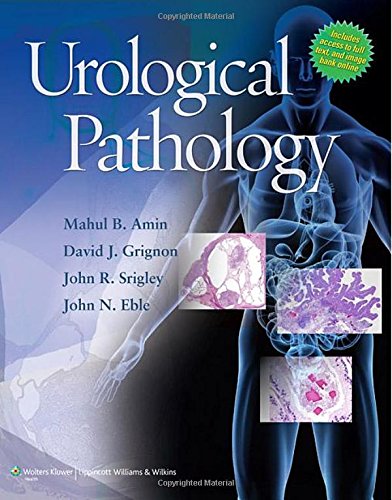 Urological Pathology 2013