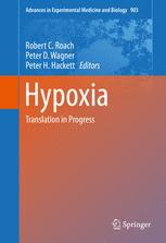 Hypoxia: Translation in Progress 2016