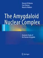 The Amygdaloid Nuclear Complex: Anatomic Study of the Human Amygdala 2016