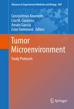 Tumor Microenvironment: Study Protocols 2016