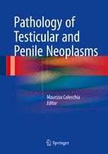 Pathology of Testicular and Penile Neoplasms 2016