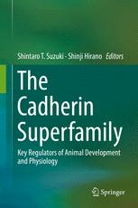 The Cadherin Superfamily: Key Regulators of Animal Development and Physiology 2016
