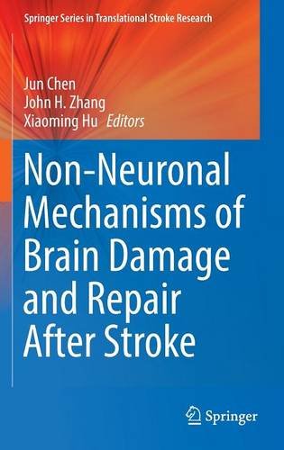 Non-Neuronal Mechanisms of Brain Damage and Repair After Stroke 2016