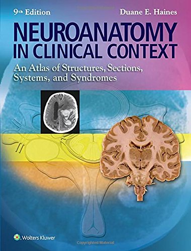 Neuroanatomy in Clinical Context: An Atlas of Structures, Sections, Systems, and Syndromes 2015