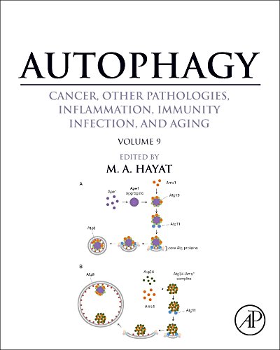 Autophagy: Cancer, Other Pathologies, Inflammation, Immunity, Infection, and Aging: Volume 9: Human Diseases and Autophagosome 2016