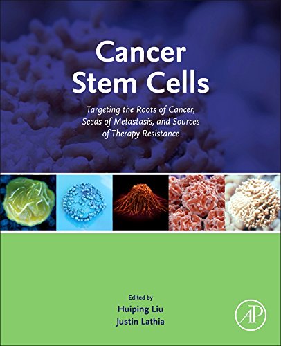 Cancer Stem Cells: Targeting the Roots of Cancer, Seeds of Metastasis, and Sources of Therapy Resistance 2016