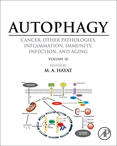 Autophagy: Cancer, Other Pathologies, Inflammation, Immunity, Infection, and Aging: Volume 10 2016