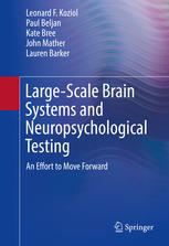 Large-Scale Brain Systems and Neuropsychological Testing: An Effort to Move Forward 2016