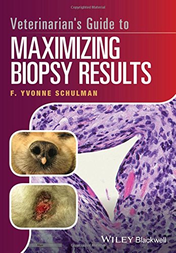 Veterinarian's Guide to Maximizing Biopsy Results 2016