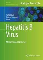 Hepatitis B Virus: Methods and Protocols 2016