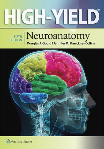High-yield Neuroanatomy 2015