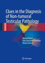 Clues in the Diagnosis of Non-tumoral Testicular Pathology 2017