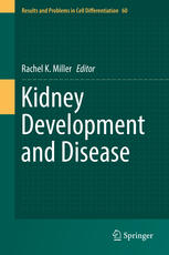 Kidney Development and Disease 2017