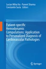 Patient-specific Hemodynamic Computations: Application to Personalized Diagnosis of Cardiovascular Pathologies 2017