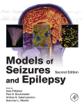 Models of Seizures and Epilepsy 2017