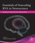 Essentials of Noncoding RNA in Neuroscience: Ontogenetics, Plasticity of the Vertebrate Brain 2017