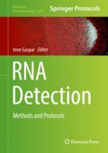 RNA Detection: Methods and Protocols 2017