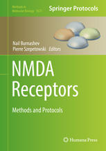 NMDA Receptors: Methods and Protocols 2017