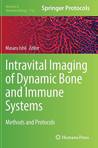 Intravital Imaging of Dynamic Bone and Immune Systems: Methods and Protocols 2018