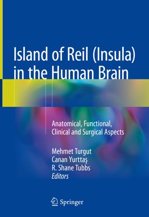 Island of Reil (Insula) in the Human Brain: Anatomical, Functional, Clinical and Surgical Aspects 2018