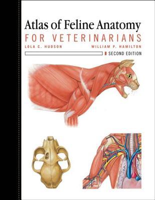 Atlas of Feline Anatomy For Veterinarians 2010