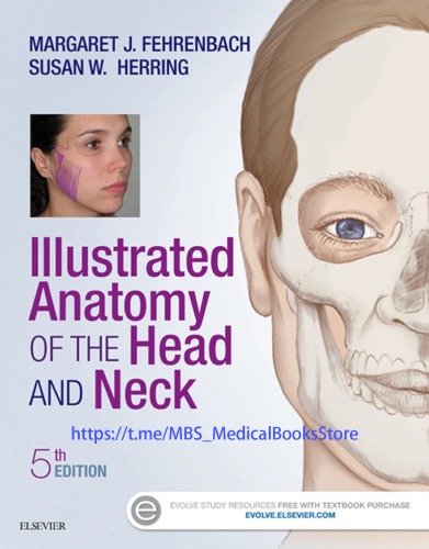 آناتومی مصور سر و گردن – کتاب الکترونیکی