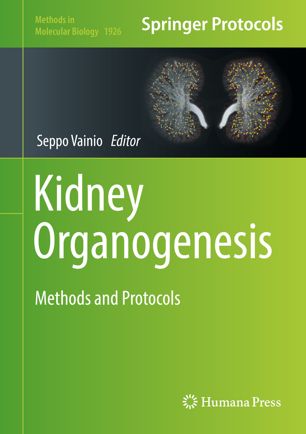 Kidney Organogenesis: Methods and Protocols 2019