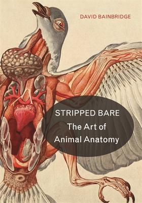 Stripped Bare: The Art of Animal Anatomy 2018