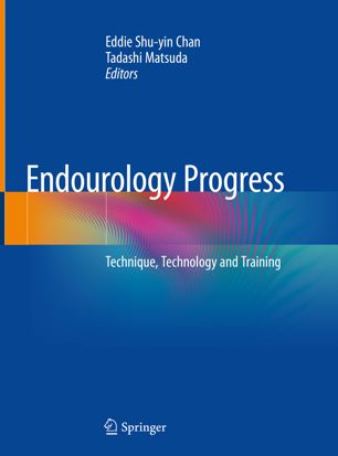 Endourology Progress: Technique, technology and training 2019
