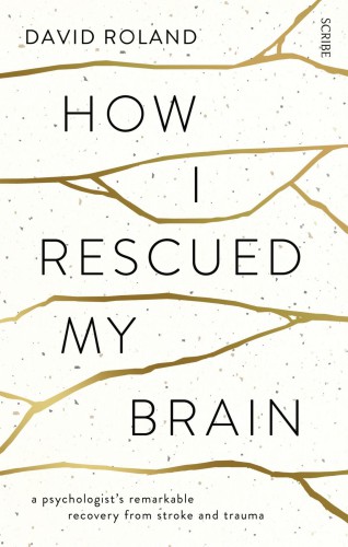 How I Rescued My Brain: a psychologist’s remarkable recovery from stroke and trauma 2014