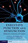 Executive Function and Dysfunction: Identification, Assessment and Treatment 2012