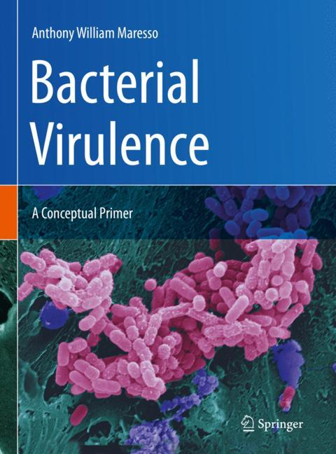 Bacterial Virulence: A Conceptual Primer 2019
