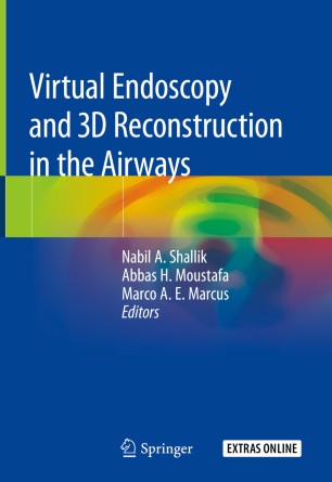 Virtual Endoscopy and 3D Reconstruction in the Airways 2019