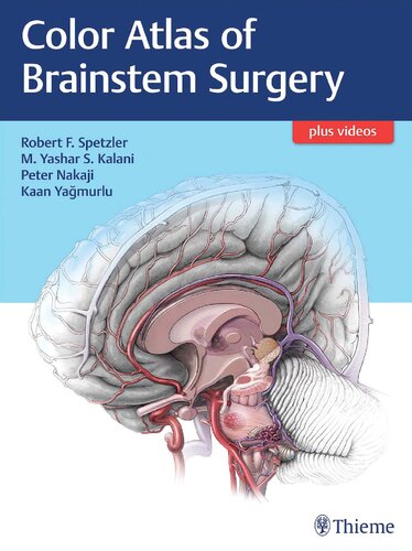 Color Atlas of Brainstem Surgery 2017