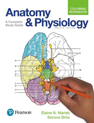 Anatomy and Physiology Coloring Workbook: A Complete Study Guide 2017