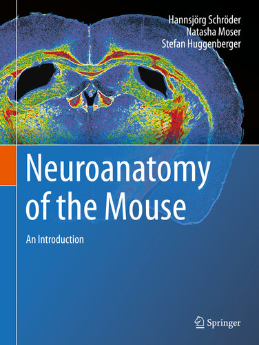 Neuroanatomy of the Mouse: An Introduction 2020