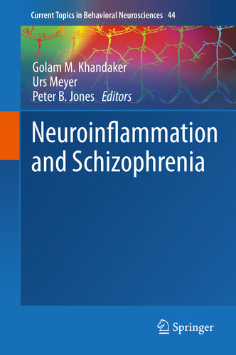 Neuroinflammation and Schizophrenia 2020