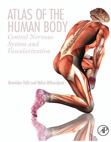 اطلس بدن انسان: سیستم عصبی مرکزی و عروق خونی