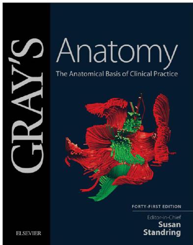 Gray's Anatomy E-Book: The Anatomical Basis of Clinical Practice 2015