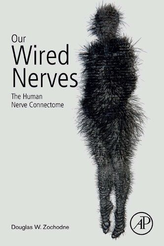 Our Wired Nerves: The Human Nerve Connectome 2020