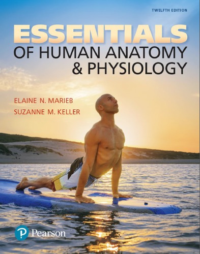 Essentials of Human Anatomy & Physiology, Global Edition 2017
