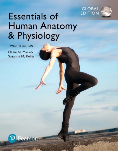 Essentials of Human Anatomy & Physiology 2017