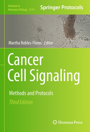 Cancer Cell Signaling: Methods and Protocols 2020