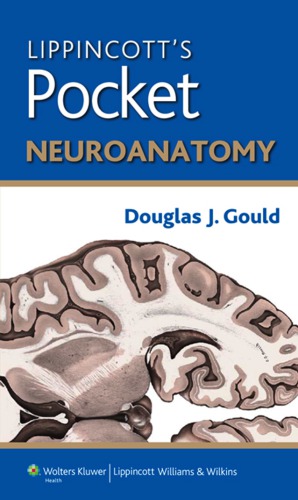 Lippincott's Pocket Neuroanatomy 2013