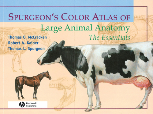 Spurgeon's Color Atlas of Large Animal Anatomy: The Essentials 2008