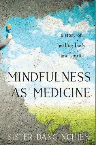 Mindfulness as Medicine: A Story of Healing Body and Spirit 2015